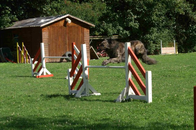 agility 2011-08